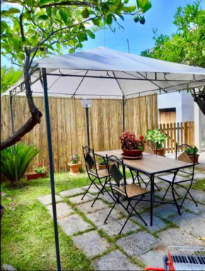 The Green House Suite & Apartment